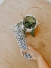 Load image into Gallery viewer, Moo Reusable Straws
